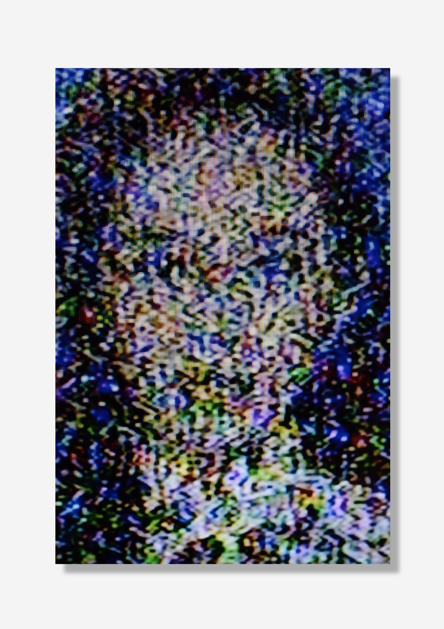 Terra Firma: Untitled #1 1/6