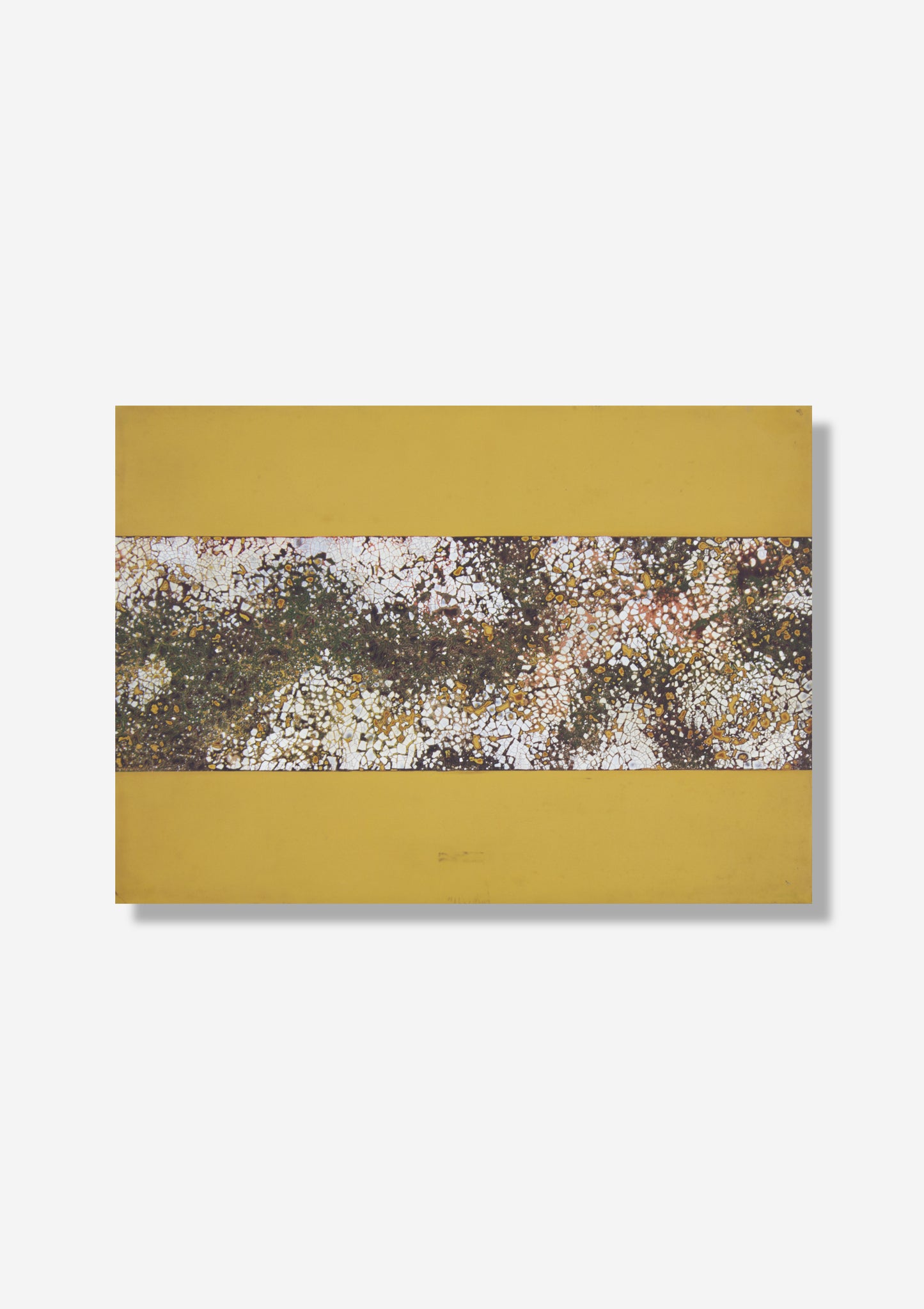 Tray #5 by Hoan