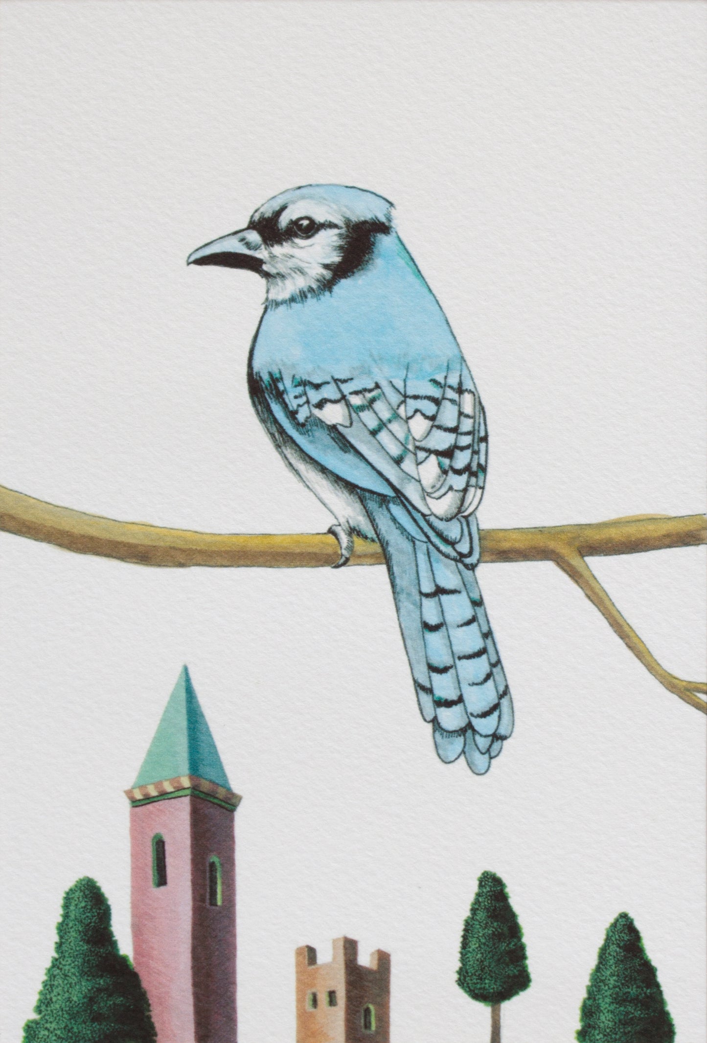 Bird Series #2