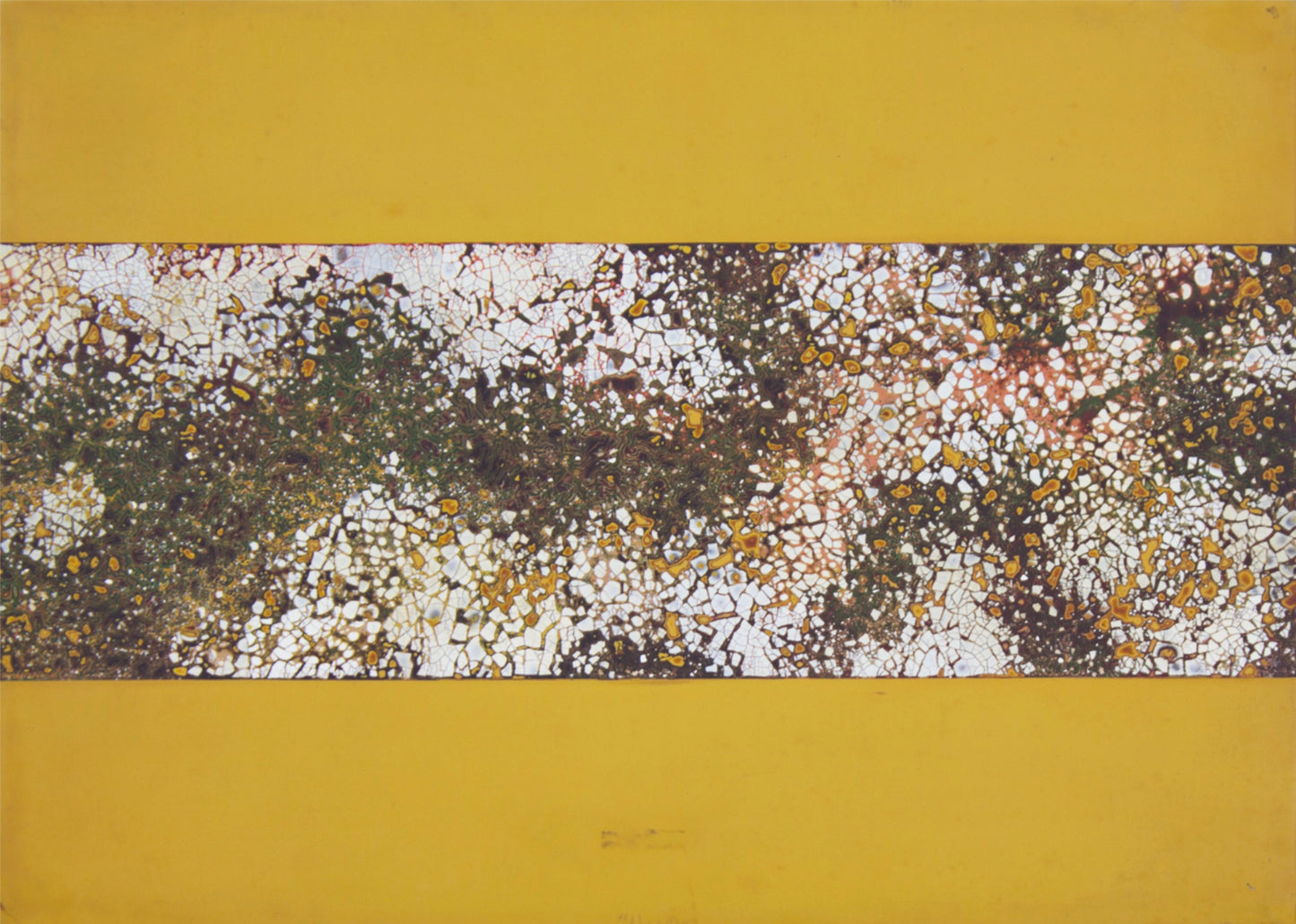 Tray #5 by Hoan