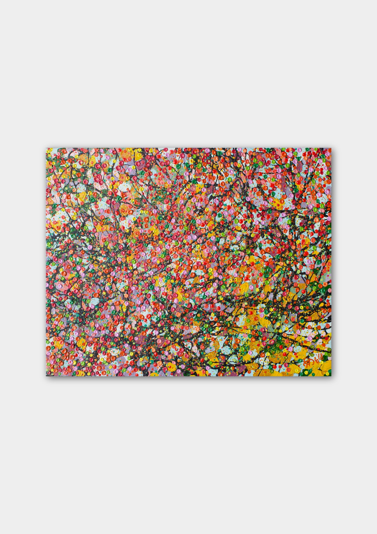 Blossom Field