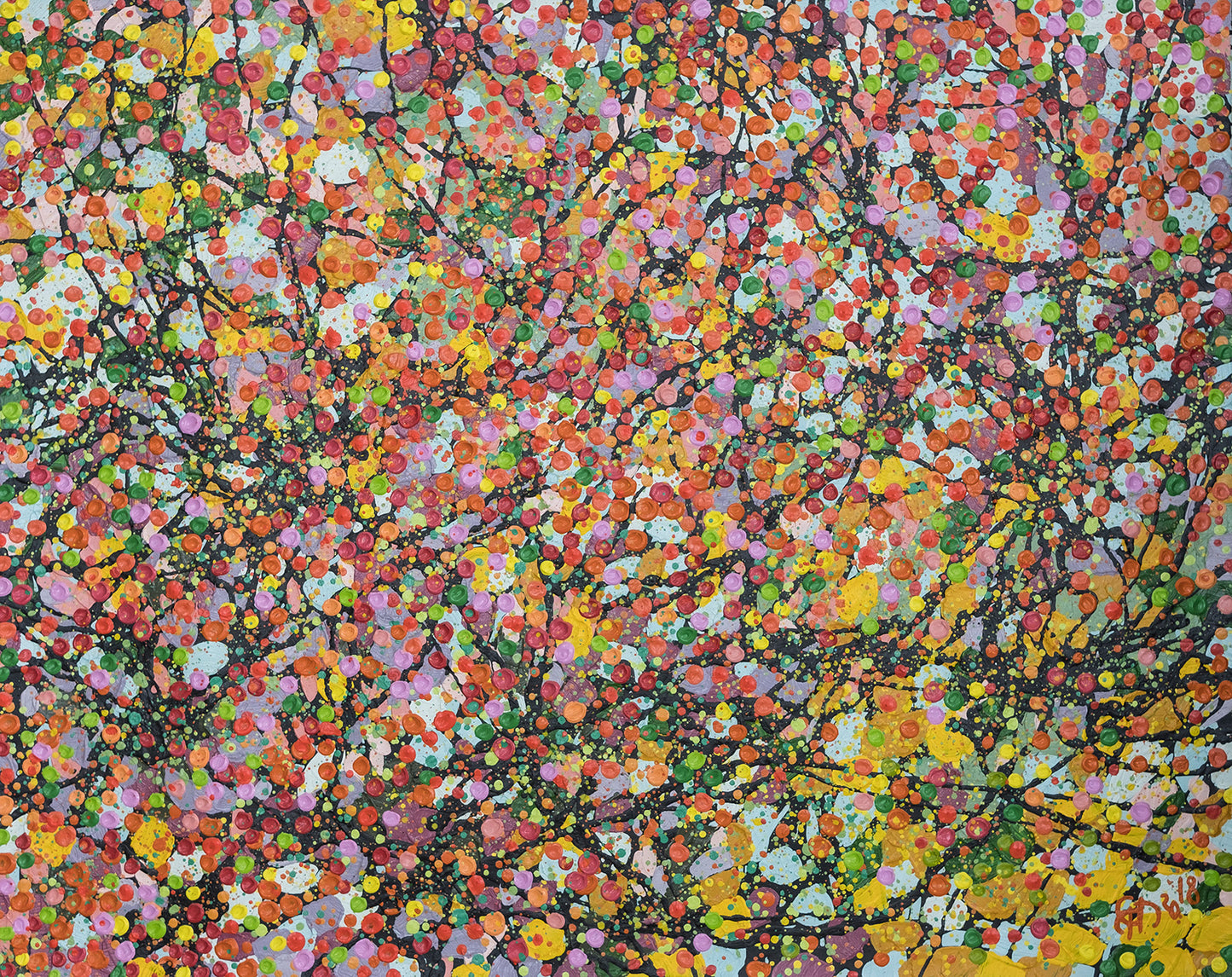 Blossom Field