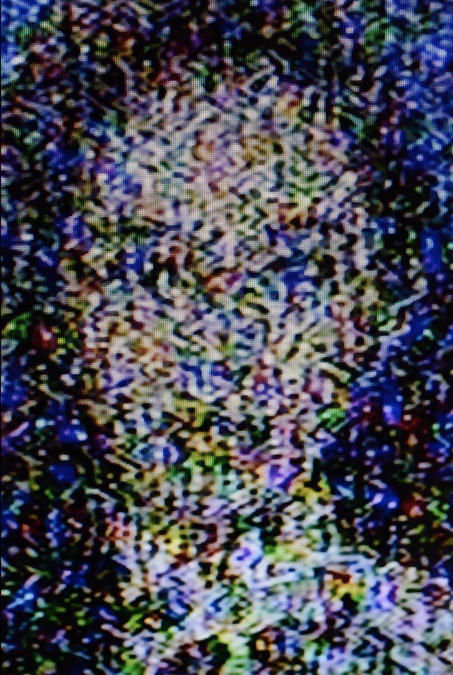 Terra Firma: Untitled #1 1/6
