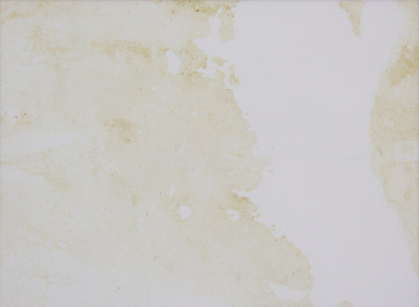 Sông Vàm Thuật No.2